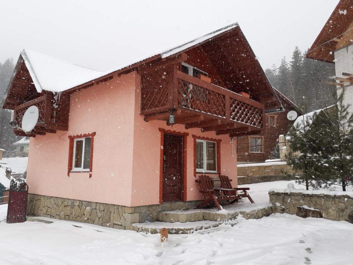 Holiday Home Melodiya Karpat Yaremche Bagian luar foto
